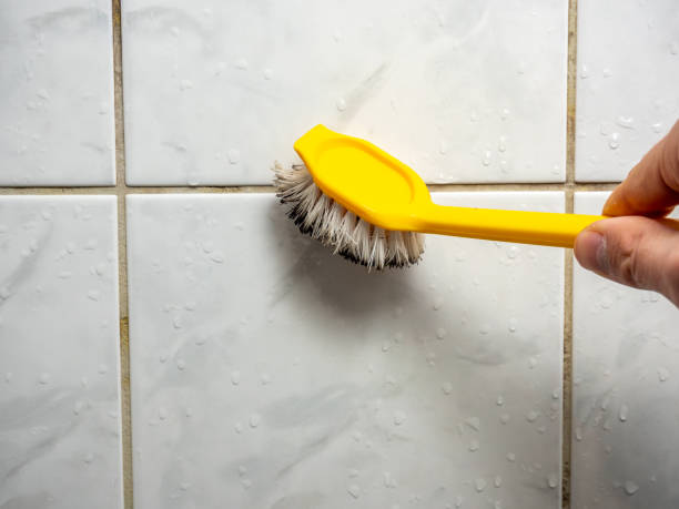 Best Professional Mold Removal  in Diamondhead, MS